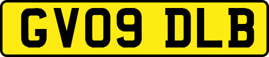 GV09DLB