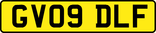 GV09DLF