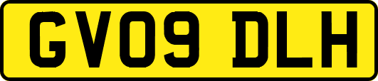 GV09DLH