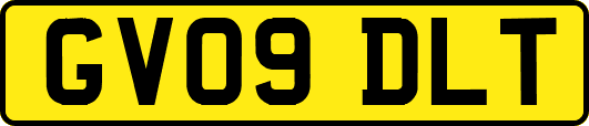 GV09DLT