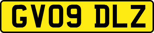 GV09DLZ