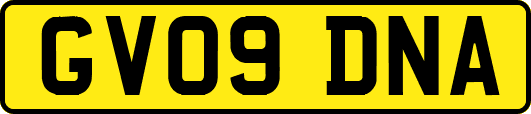 GV09DNA