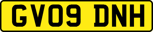 GV09DNH