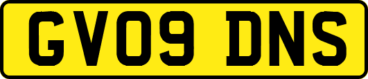 GV09DNS