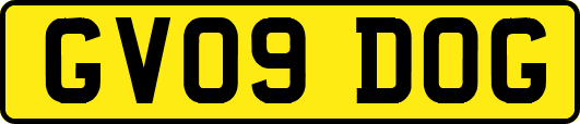 GV09DOG