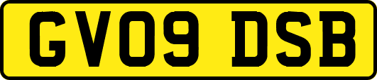 GV09DSB