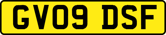 GV09DSF