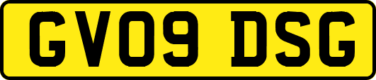 GV09DSG