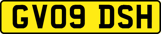 GV09DSH