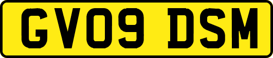 GV09DSM