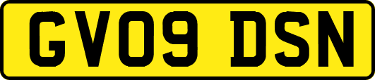 GV09DSN