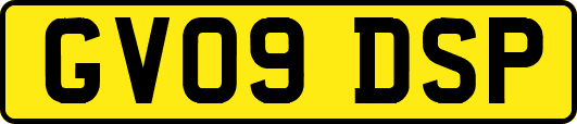GV09DSP