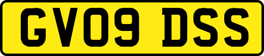 GV09DSS