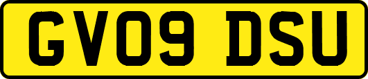 GV09DSU