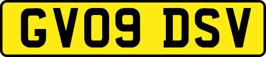 GV09DSV