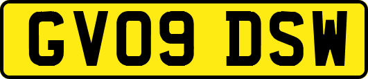 GV09DSW