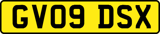 GV09DSX