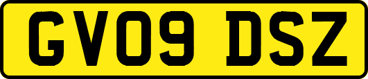 GV09DSZ