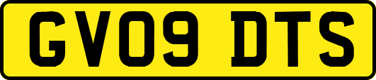 GV09DTS