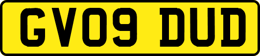 GV09DUD