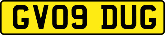 GV09DUG