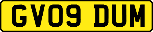 GV09DUM