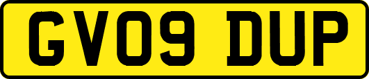 GV09DUP