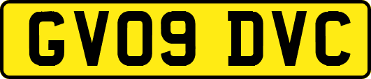 GV09DVC