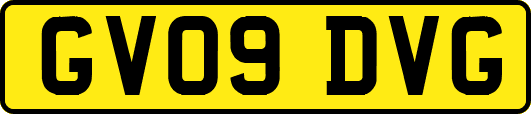 GV09DVG