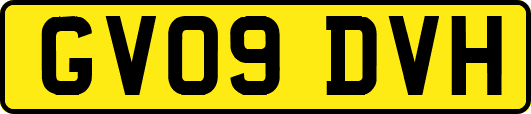 GV09DVH