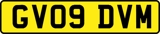 GV09DVM