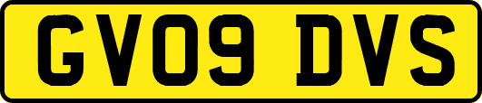 GV09DVS