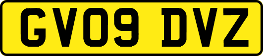 GV09DVZ
