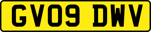 GV09DWV