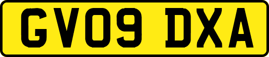 GV09DXA