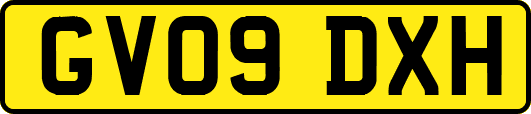 GV09DXH