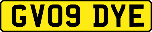 GV09DYE