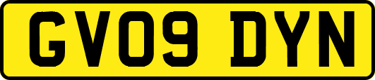 GV09DYN