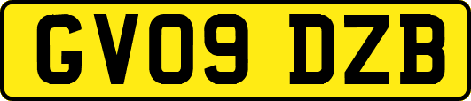 GV09DZB