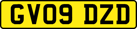 GV09DZD