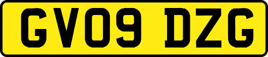 GV09DZG