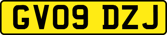 GV09DZJ