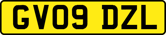GV09DZL