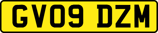 GV09DZM