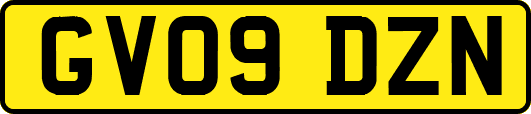 GV09DZN