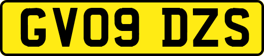 GV09DZS