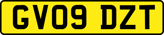 GV09DZT