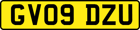 GV09DZU