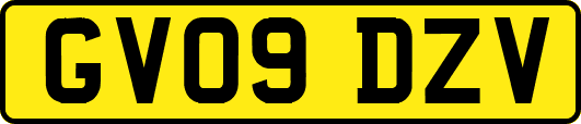 GV09DZV