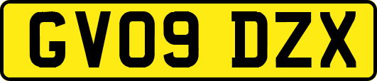 GV09DZX